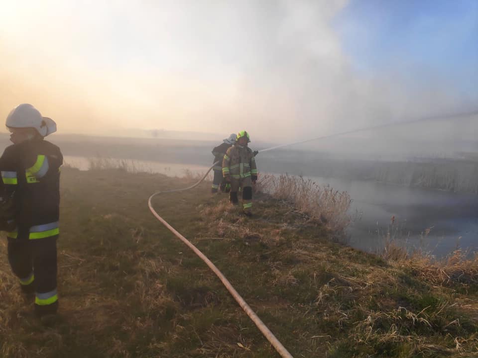 Strażacy dogaszają pożar w Biebrzańskim Parku Narodowym